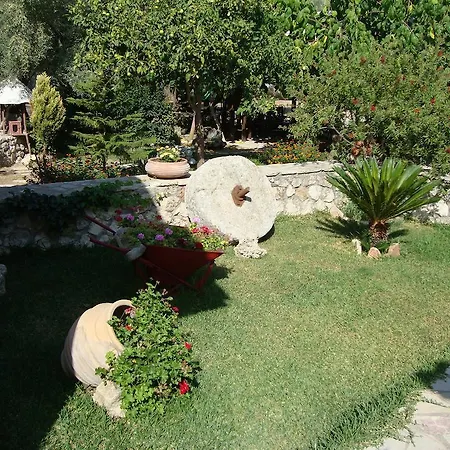 אתר קמפינג Village Episkopos *